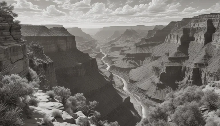 Discovering Arizona: A Guide to the Grand Canyon State